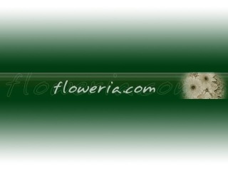 Floweria.com Coupons